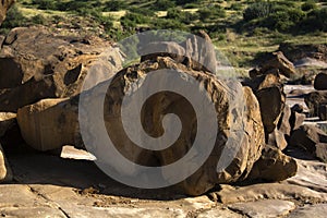 Fossils at Kutch, Gujarat photo
